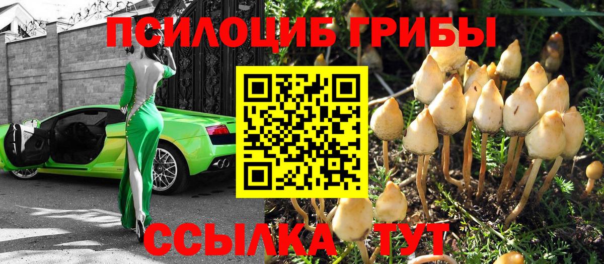 Галлюциногенные грибы ЛСД  Псилоцибиновые грибы ЛСД  Минусинск  Вход с VPN 